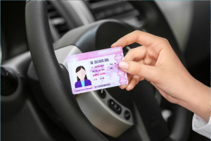 validité permis de conduire rose